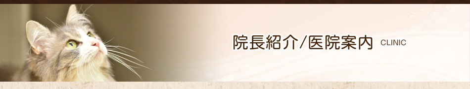 院長紹介/医院案内