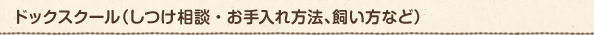 ドックスクール（しつけ相談・お手入れ方法、飼い方など）