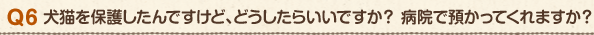 Q6 犬猫を保護したんですけど、どうしたらいいですか?病院で預かってくれますか?