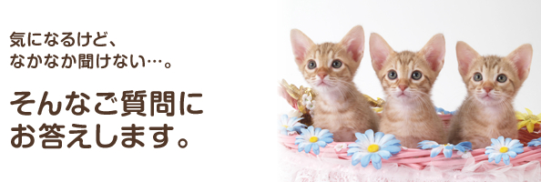 気になるけど、なかなか聞けない…。そんなご質問にお答えします。